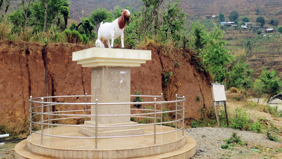 धनकुटाका किसानले बनाएकाे बोयर बाख्राको प्रतिमा